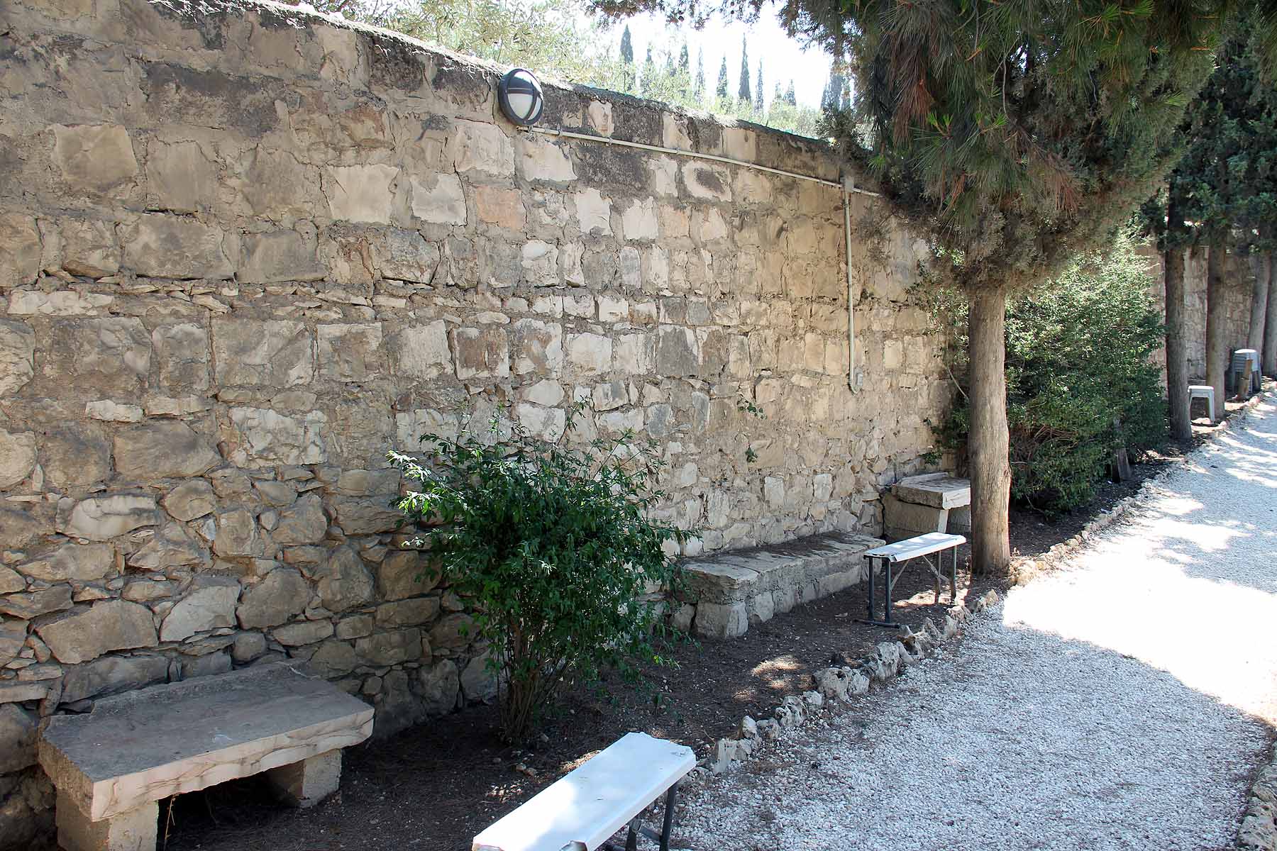 Gethsemane image 10